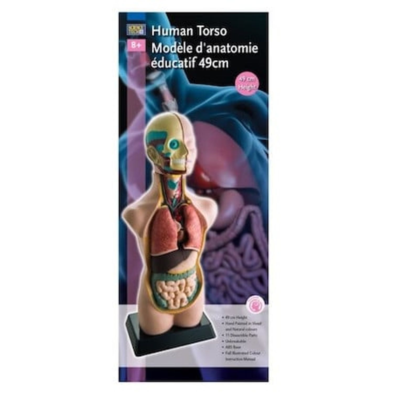 Joc educativ pentru copii Science Tech, Corpul uman, 49 cm, 8 ani fotografia produsului