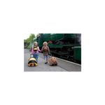 Troler pentru copii Dragon fotografia produsului View 8 S
