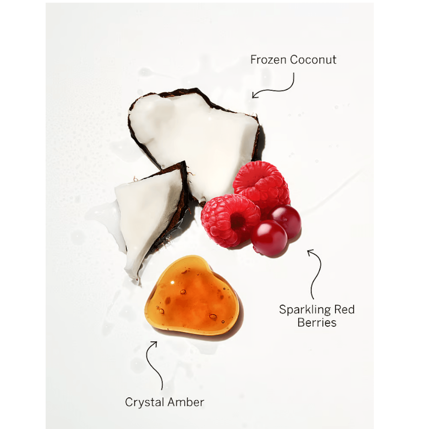 7b51db2e-9f21-11ee-8c90-0242ac120002 фото продукта View 2 L