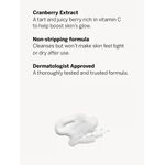 Gel De Dus, Cranberry, Victoria's Secret PINK, 355 ml fotografia produsului View 2 S