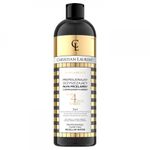 Apa micelara purificatoare profesionala Christian Laurent Micro 4 Pure Fusion, 500 ml fotografia produsului