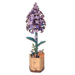 Puzzle 3D, Liliac, Rowood, lemn, 154 piese fotografia produsului