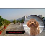 Binoclu MRG M685, 8x40, Waterproof, Negru fotografia produsului View 4 S