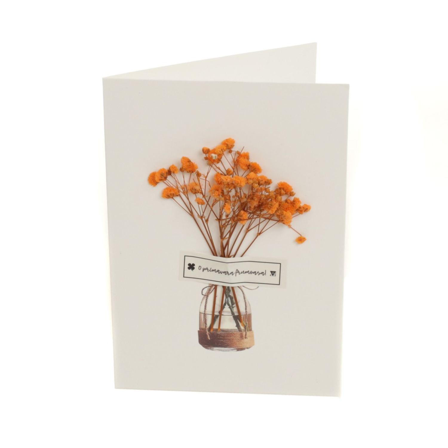 Set 4 felicitari, PAMI, FEL-B7, 16x11 cm fotografia produsului View 5 L