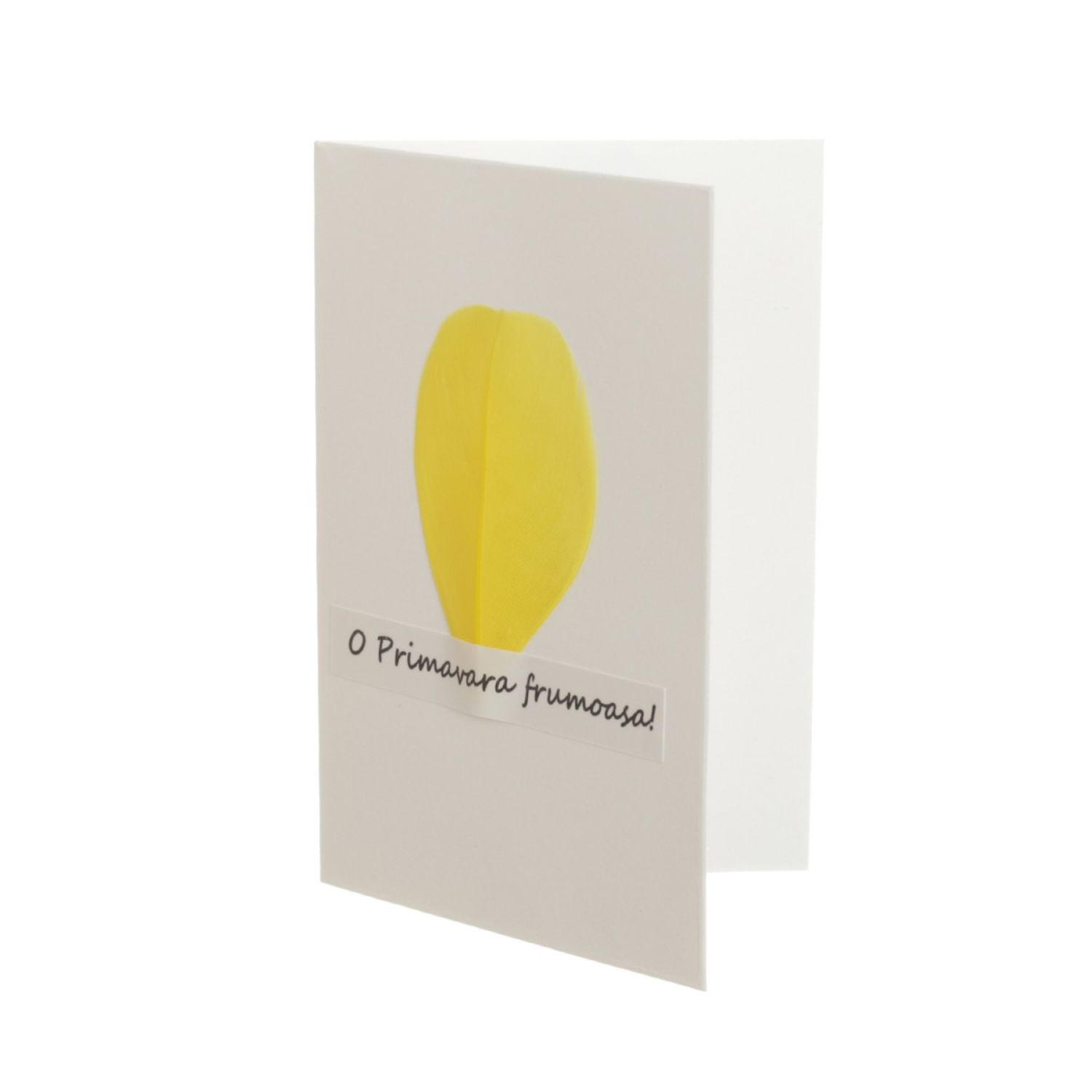 Set 14 felicitari cu modele aplicate, PAMI, FEL-17, 15x9 cm fotografia produsului View 2 L