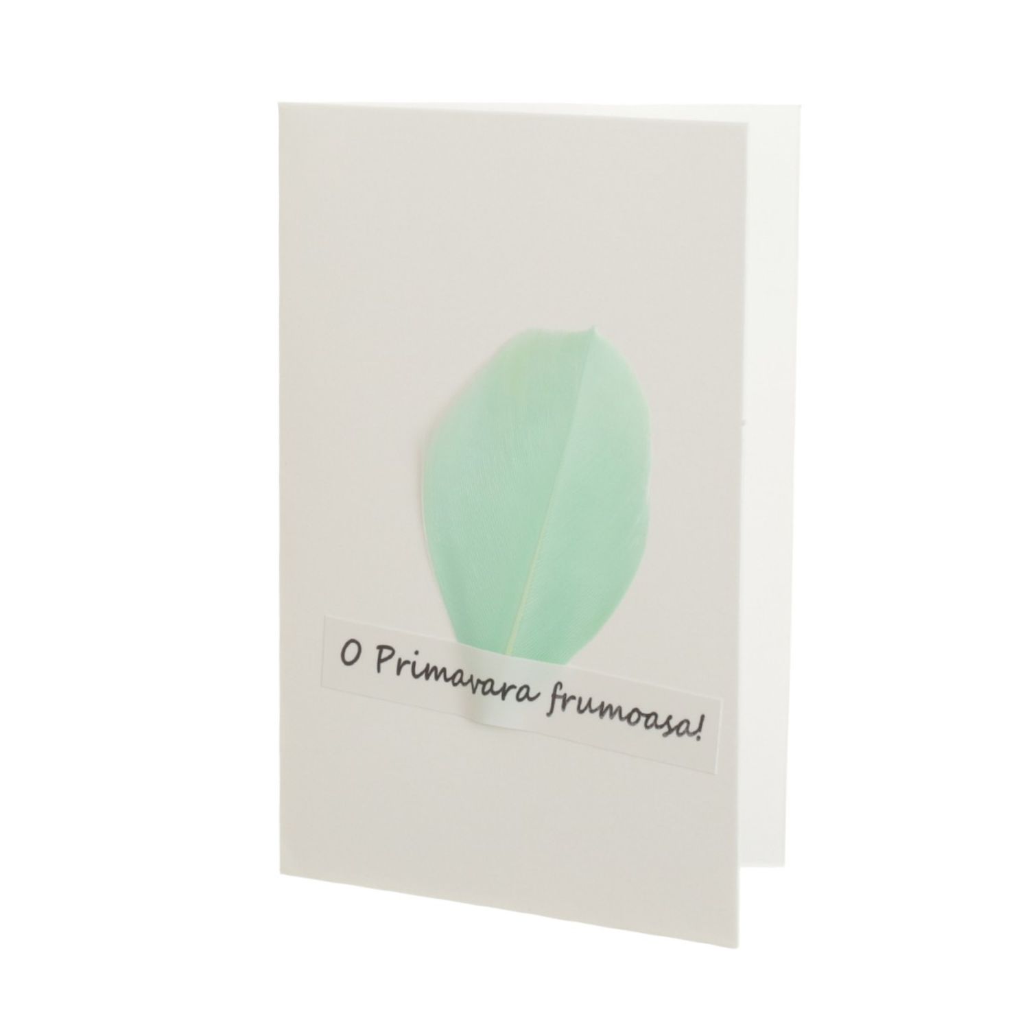 Set 14 felicitari cu modele aplicate, PAMI, FEL-17, 15x9 cm fotografia produsului View 4 L