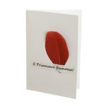 Set 14 felicitari cu modele aplicate, PAMI, FEL-17, 15x9 cm fotografia produsului View 8 S