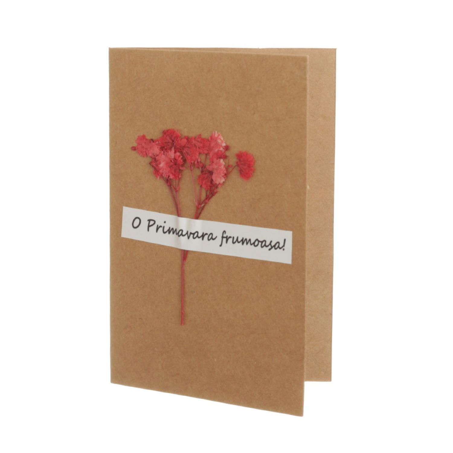 Set 14 felicitari cu modele aplicate, PAMI, FEL-17, 15x9 cm fotografia produsului View 9 L