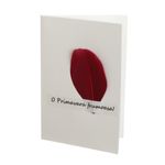 Set 14 felicitari cu modele aplicate, PAMI, FEL-17, 15x9 cm fotografia produsului View 10 S