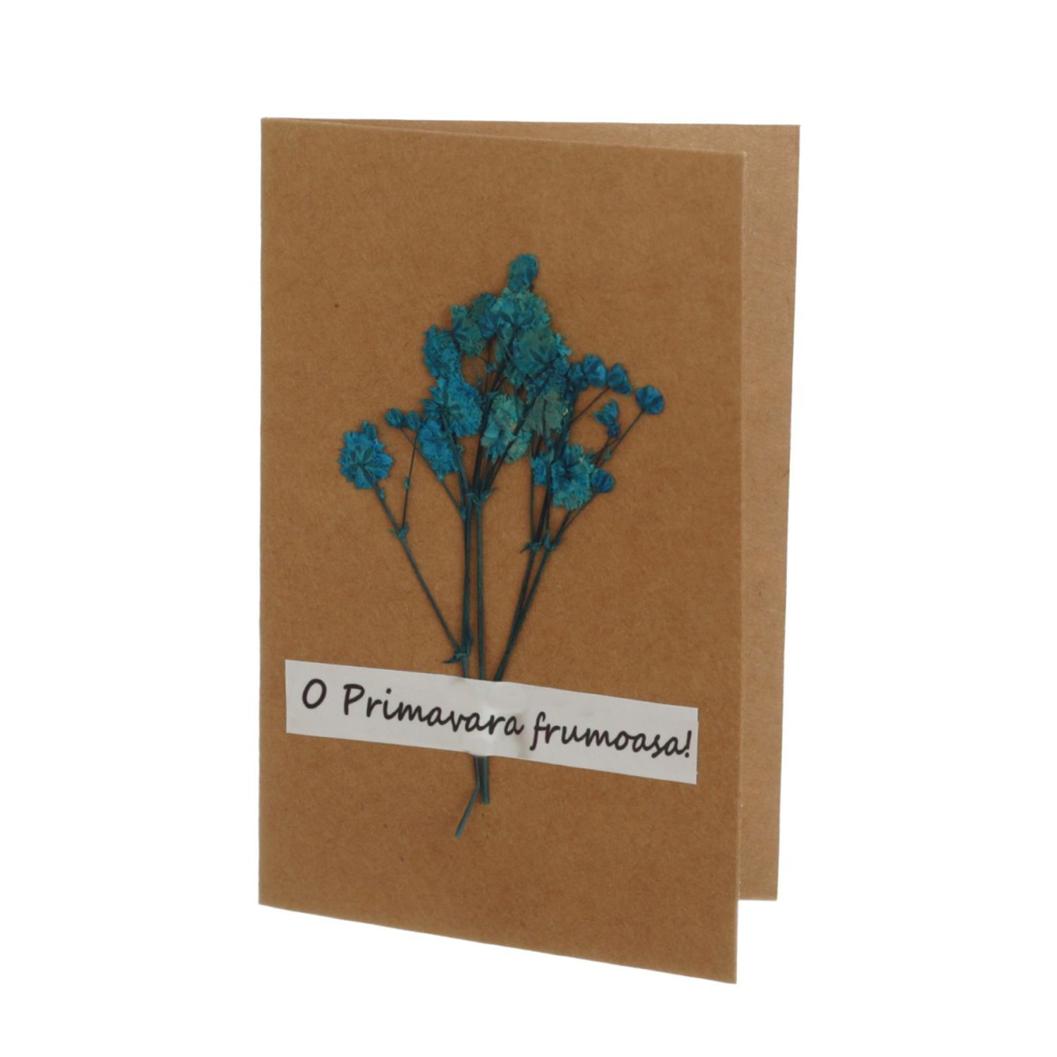 Set 14 felicitari cu modele aplicate, PAMI, FEL-17, 15x9 cm fotografia produsului View 11 L