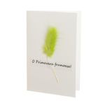 Set 14 felicitari cu modele aplicate, PAMI, FEL-17, 15x9 cm fotografia produsului View 5 S