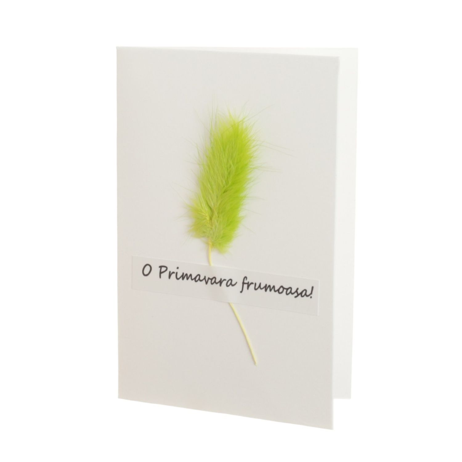 Set 14 felicitari cu modele aplicate, PAMI, FEL-17, 15x9 cm fotografia produsului View 5 L