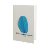 Set 14 felicitari cu modele aplicate, PAMI, FEL-17, 15x9 cm fotografia produsului View 12 S