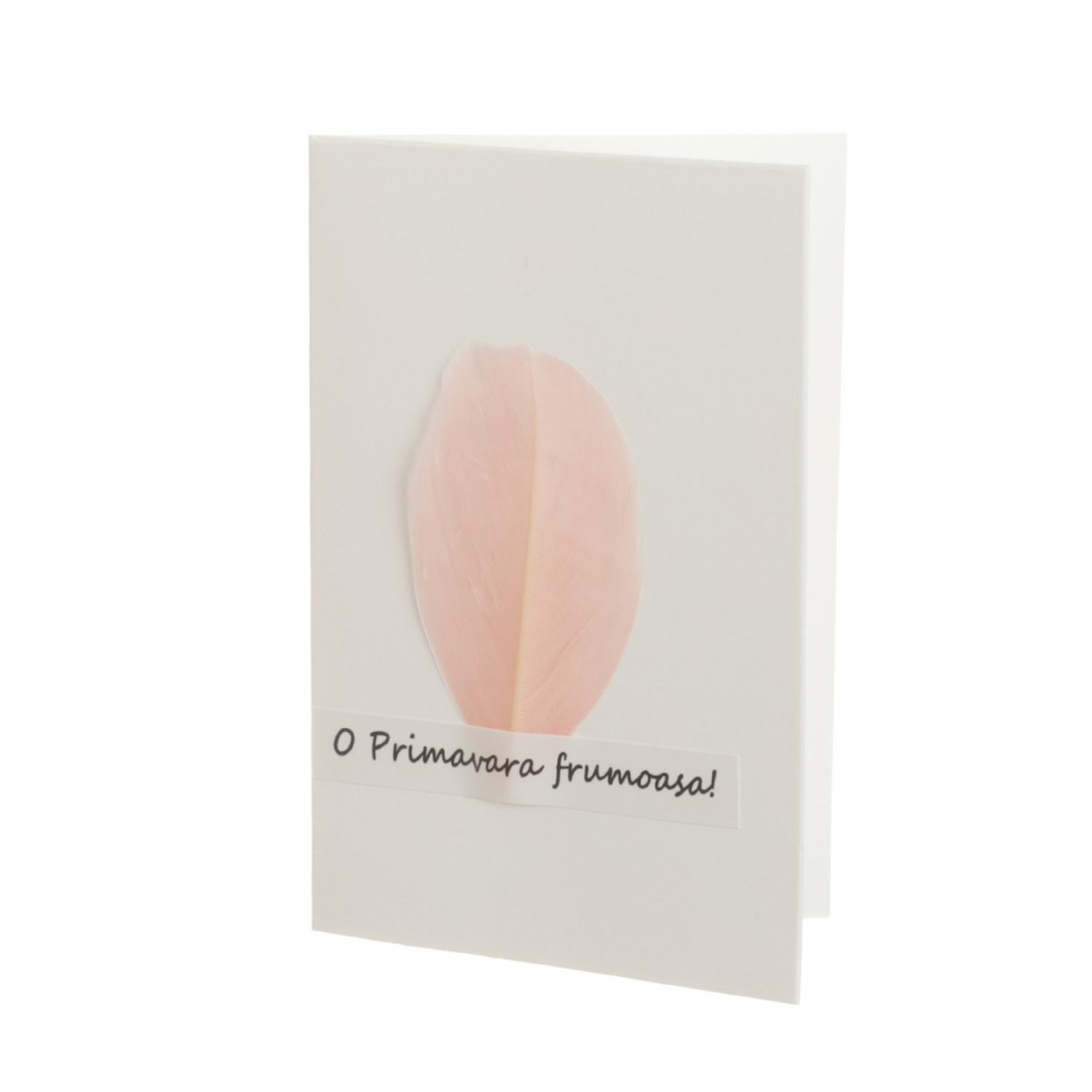 Set 14 felicitari cu modele aplicate, PAMI, FEL-17, 15x9 cm fotografia produsului View 6 L