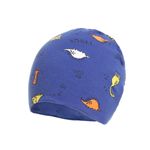 Fes pentru baieti,PAMI,CF0523-311-3,48 cm,Albastru fotografia produsului