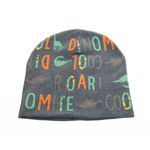 Fes pentru baieti,PAMI,CF0523-312-1,48 cm,Gri fotografia produsului View 3 S