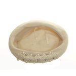 Basca pentru dama, PAMI, BD-0523-188-4, One size, Alb fotografia produsului View 5 S