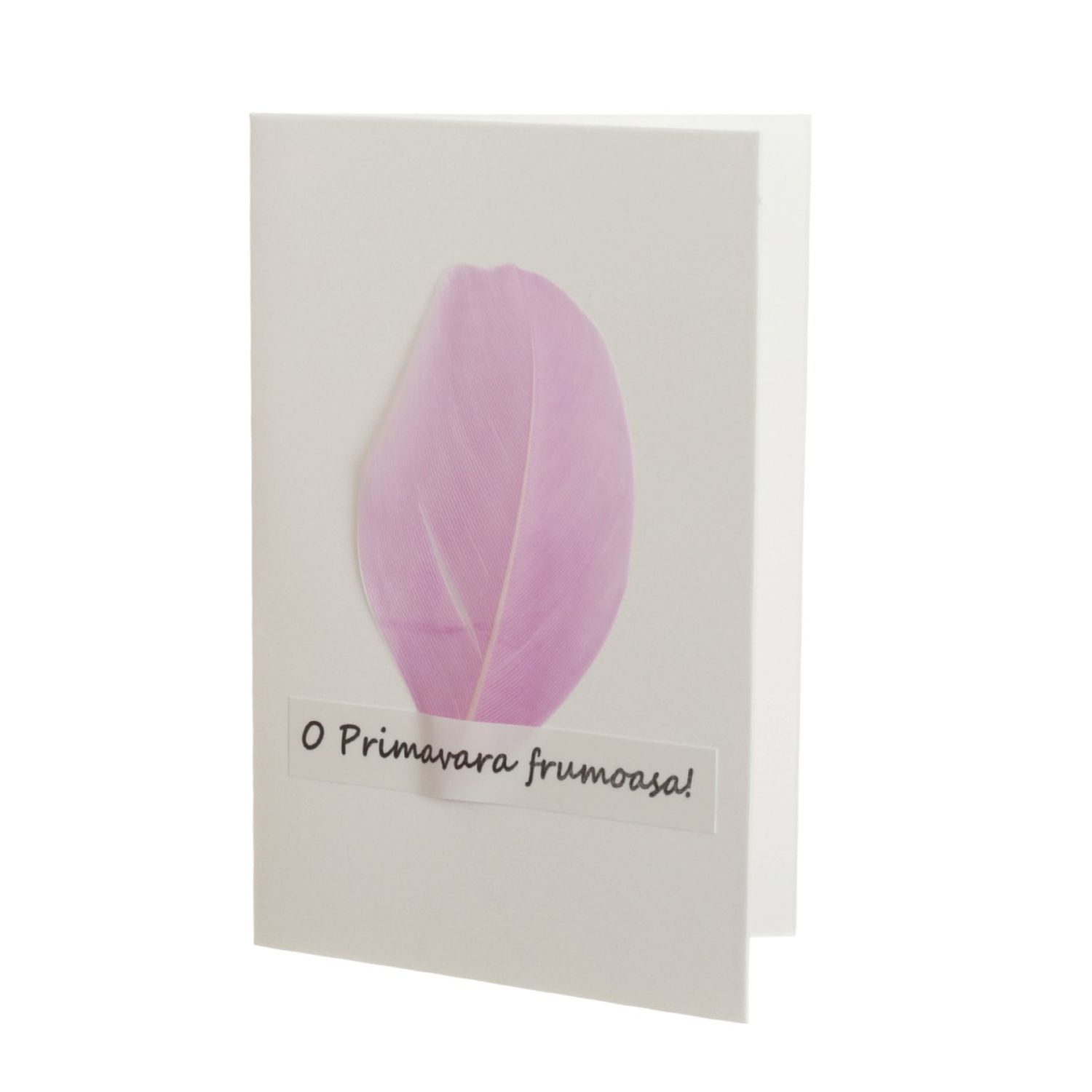 a46e4d29-5858-4e67-9cd9-0565f75786aa фото продукта View 3 L