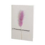 a46e4d29-5858-4e67-9cd9-0565f75786aa фото продукта View 10 S