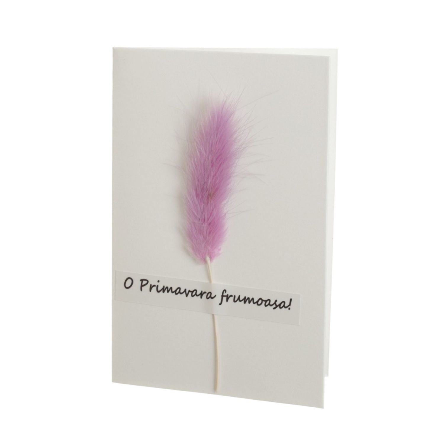 a46e4d29-5858-4e67-9cd9-0565f75786aa фото продукта View 10 L