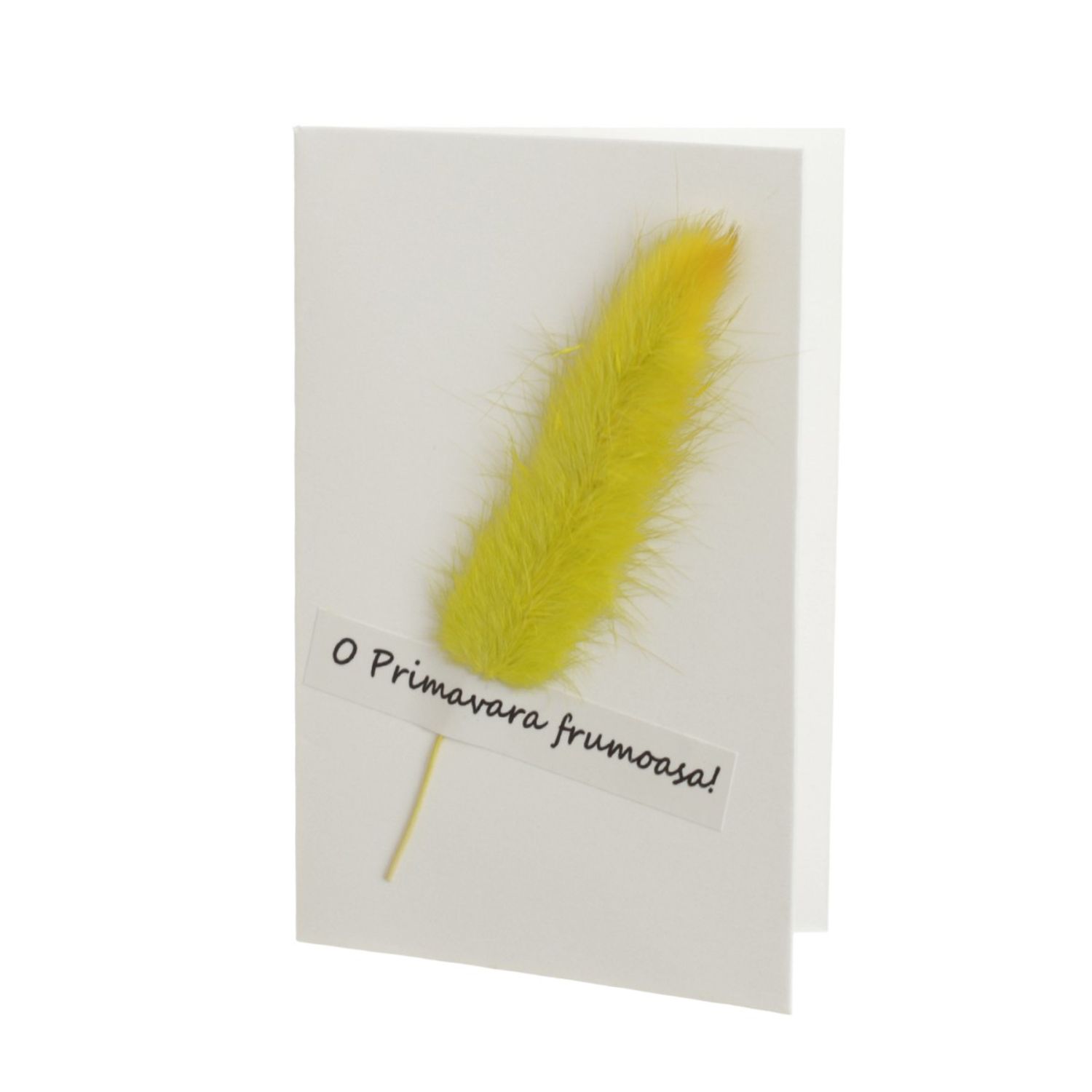 a46e4d29-5858-4e67-9cd9-0565f75786aa фото продукта View 11 L