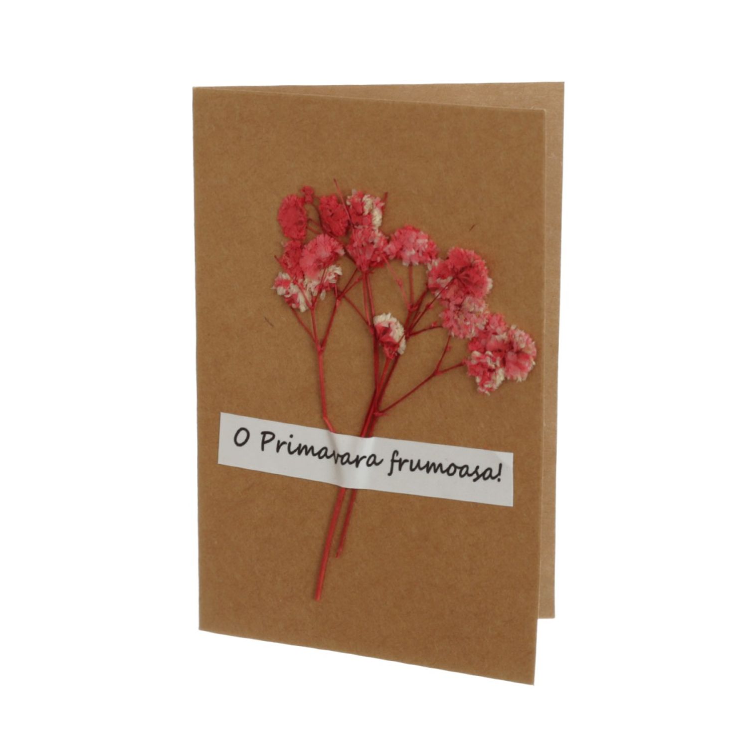 a46e4d29-5858-4e67-9cd9-0565f75786aa фото продукта View 15 L