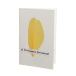 a46e4d29-5858-4e67-9cd9-0565f75786aa фото продукта View 5 S