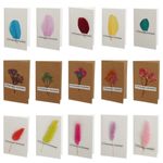 a46e4d29-5858-4e67-9cd9-0565f75786aa фото продукта