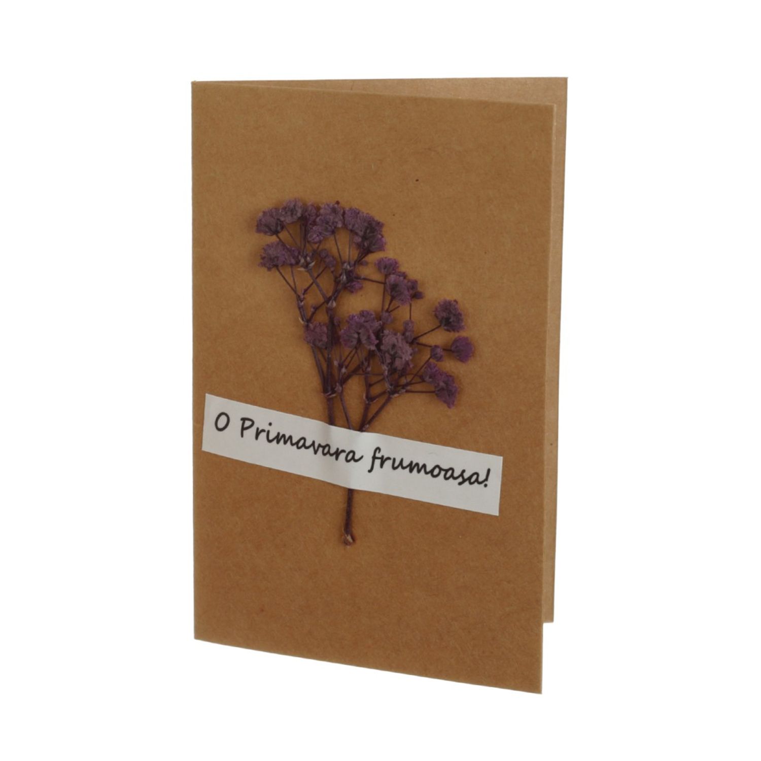 a46e4d29-5858-4e67-9cd9-0565f75786aa фото продукта View 14 L