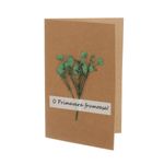 Set 15 felicitari cu modele aplicate, PAMI, FEL-3, 15x9 cm fotografia produsului View 4 S