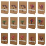 Set 15 felicitari cu modele aplicate, PAMI, FEL-3, 15x9 cm fotografia produsului