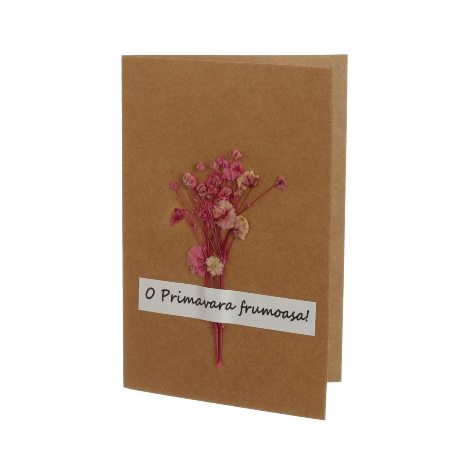 Set 15 felicitari cu modele aplicate, PAMI, FEL-3, 15x9 cm fotografia produsului View 9 L