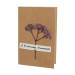 Set 15 felicitari cu modele aplicate, PAMI, FEL-3, 15x9 cm fotografia produsului View 2 S