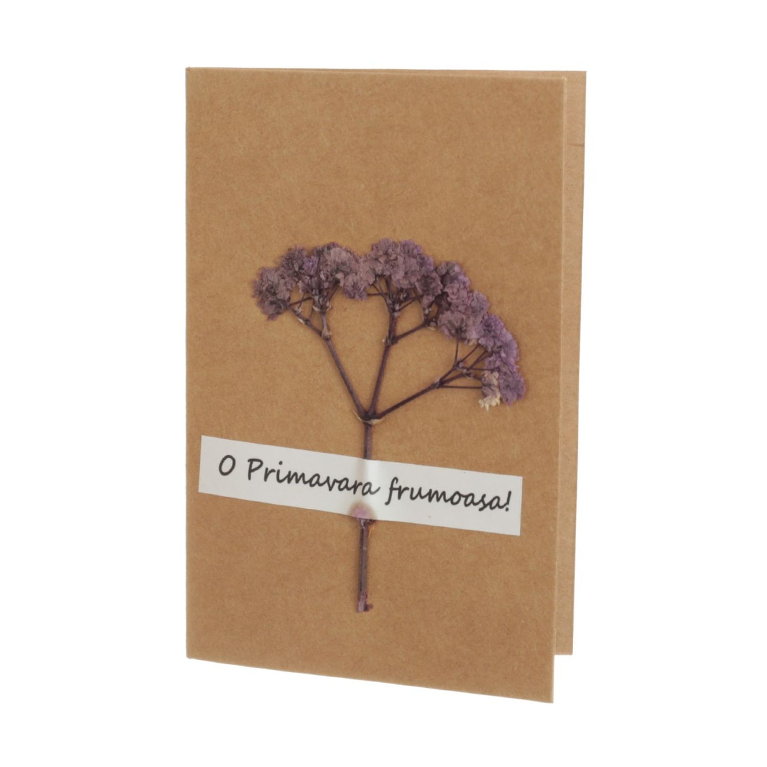 Set 15 felicitari cu modele aplicate, PAMI, FEL-3, 15x9 cm fotografia produsului View 2 L