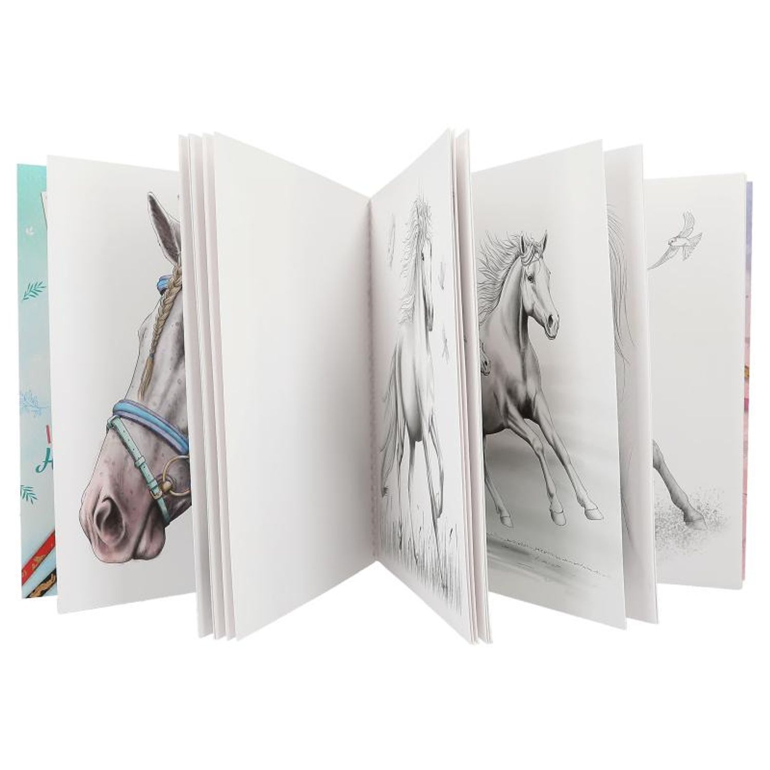 Carte colorat speciala Miss Melody fotografia produsului View 2 L