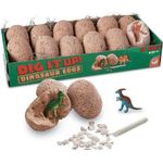 Dig It Up! Dinosaur Eggs Oua de dinozauri fotografia produsului View 2 S