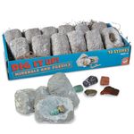 Dig It Up! Fossils Minerals fotografia produsului View 2 S