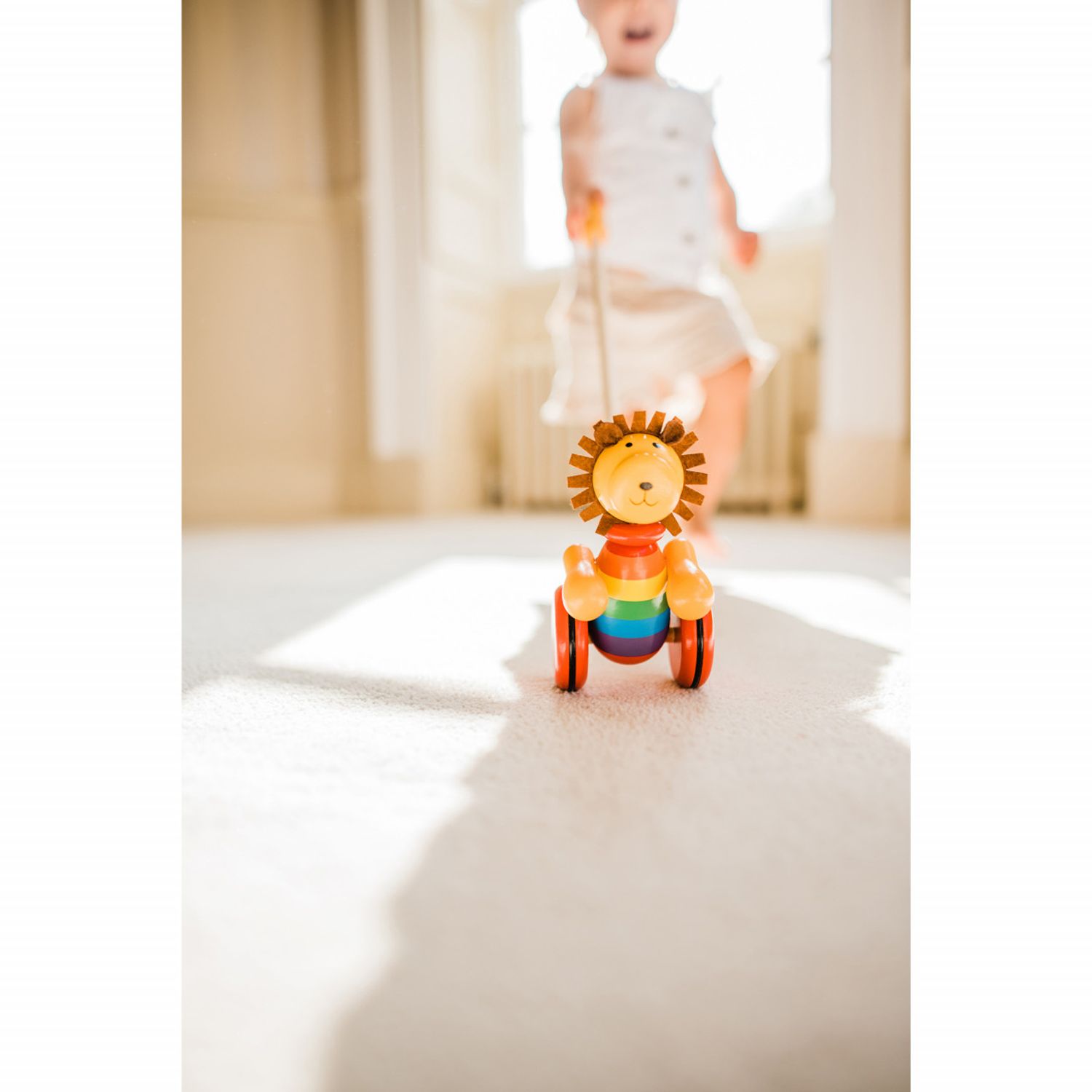 Jucarie de impins leu, Orange Tree Toys fotografia produsului View 3 L