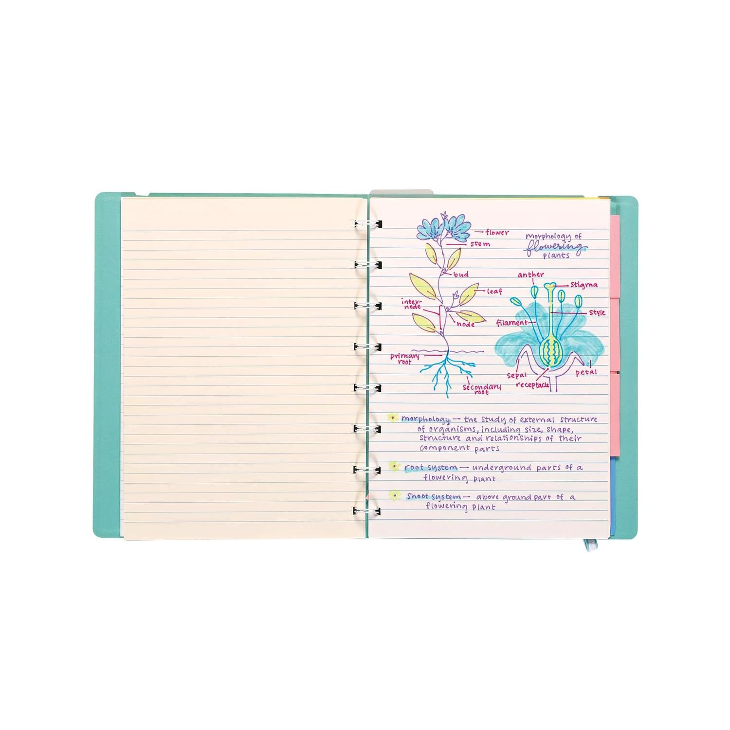 Stilouri duble 2 in 1 cu marker, Writer s Duo - set de 3 fotografia produsului View 3 L