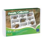 Kit paleontologie - Fosile fotografia produsului View 2 S