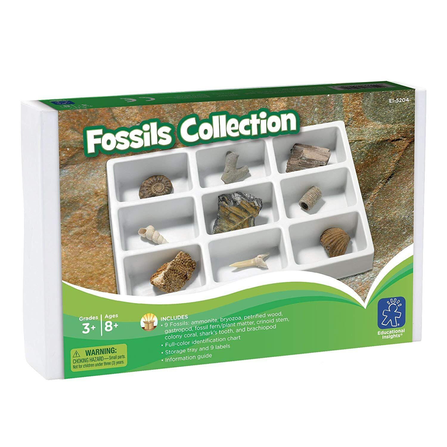 Kit paleontologie - Fosile fotografia produsului View 2 L