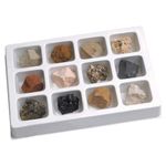 Kit paleontologie - Roci sedimentare fotografia produsului