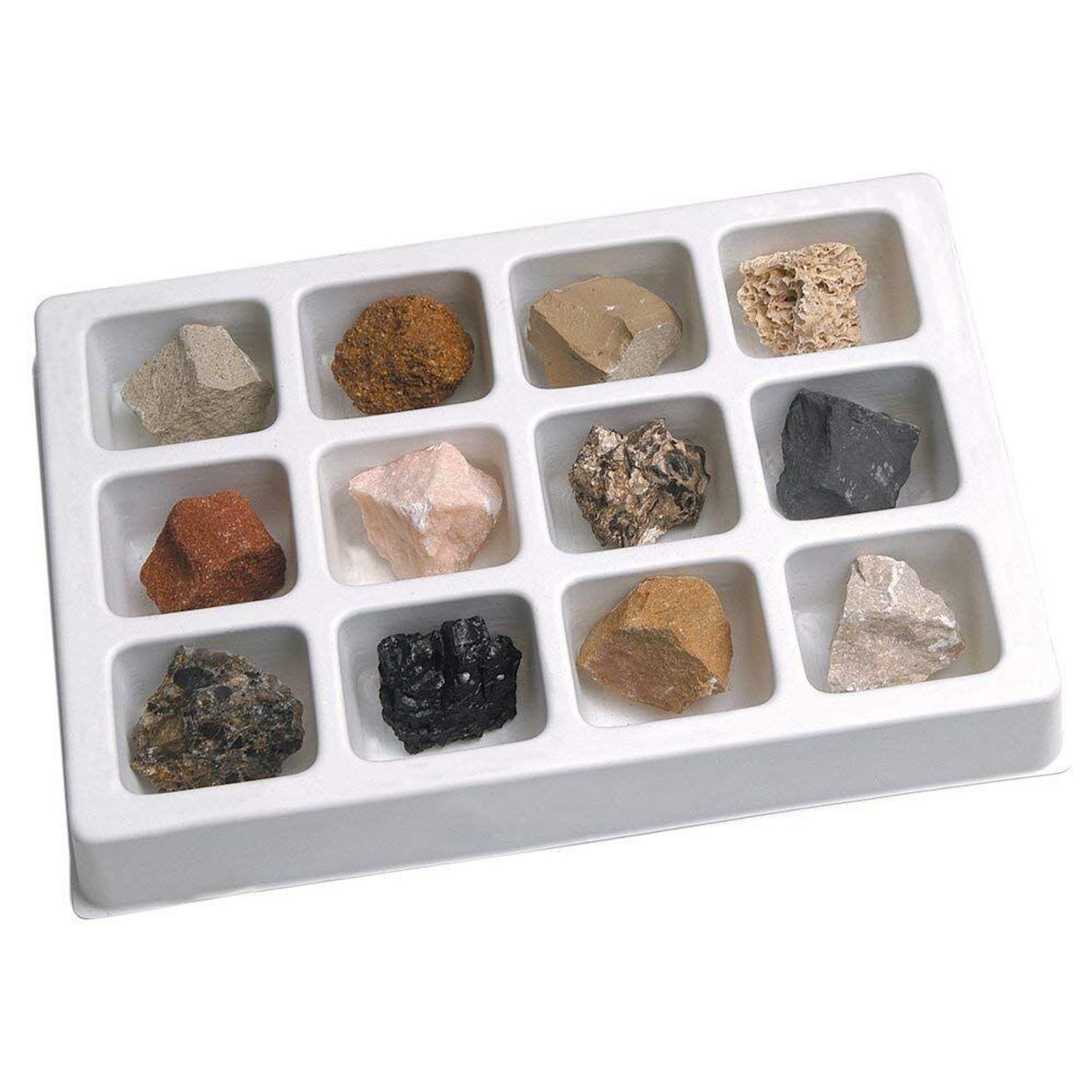 Kit paleontologie - Roci sedimentare fotografia produsului