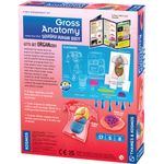 Kit STEM Organele corpului uman fotografia produsului View 4 S
