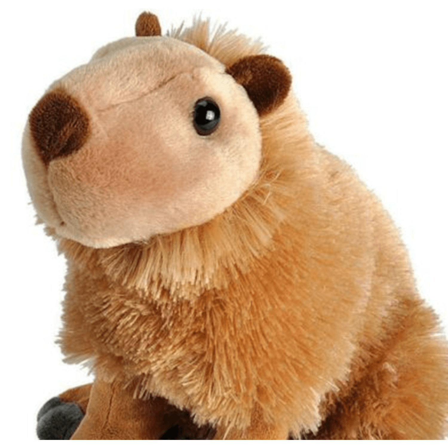 Capibara - Jucarie Plus Wild Republic 30 cm fotografia produsului View 2 L