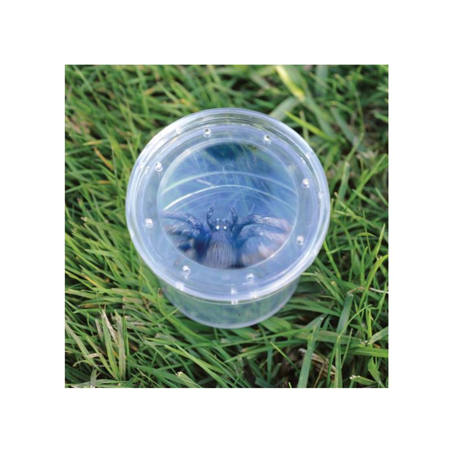 Borcan cu lupa pentru studiu insecte - GeoSafari fotografia produsului View 3 L