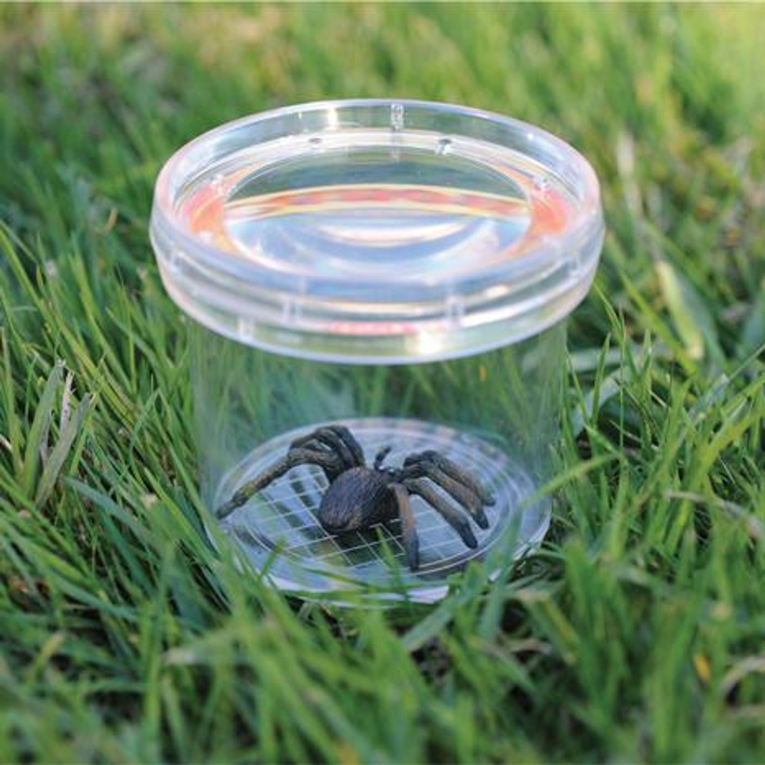 Borcan cu lupa pentru studiu insecte - GeoSafari fotografia produsului View 2 L