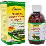 Sirop patlagina pin propolis 200ml - ELIDOR fotografia produsului