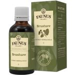 Tinctura brusture 50ml - FAUNUS PLANT fotografia produsului