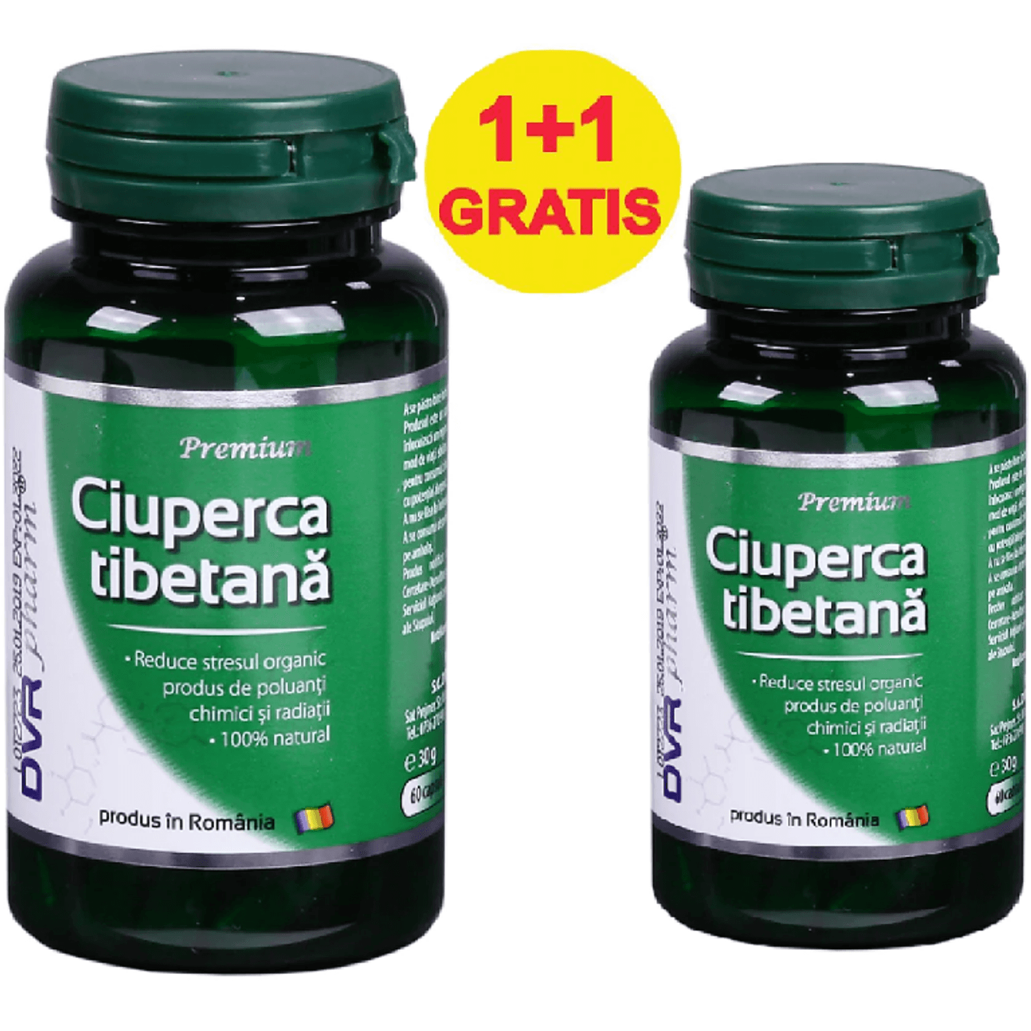 Pachet Ciuperca tibetana 60+30cps - DVR PHARM fotografia produsului